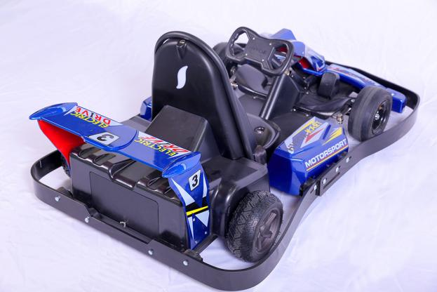 Hot Sale 35kmh Cheap Electric Karting Cars Race Go Kart for Child Youth Adult (10)