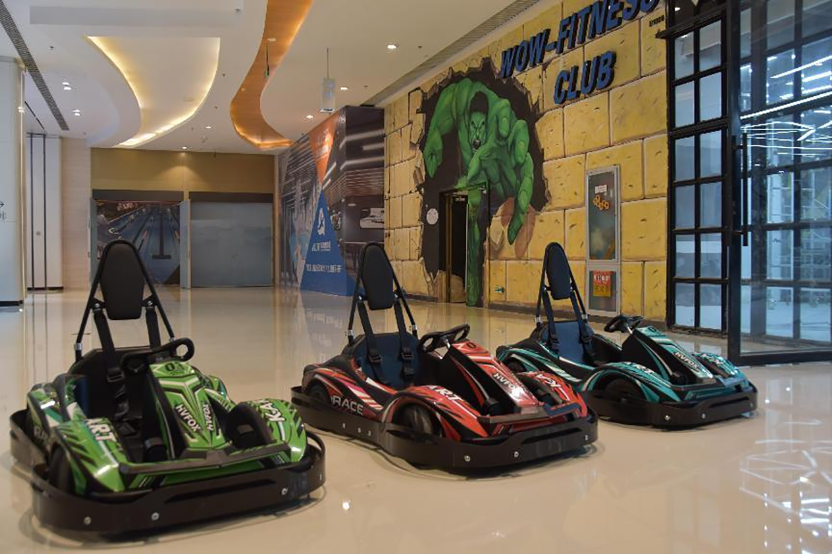 Cheap Price Hot Sale 35km Racing Electric Go Karts For kids or adult (1)