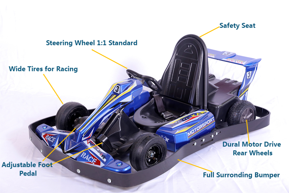 Hot Sale 35kmh Cheap Electric Karting Cars Race Go Kart for Child Youth Adult (1)